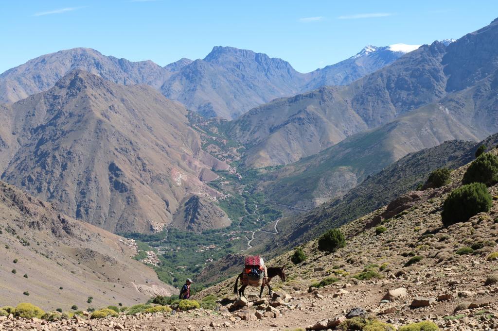 Marrakech Quad Tours Patrick Ogilvie Lp3coonx Oc Unsplash 2