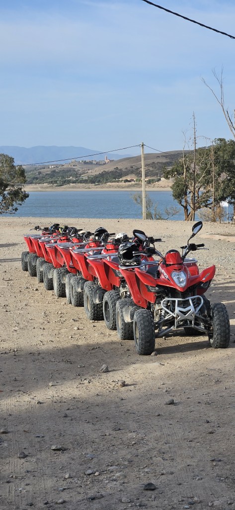 20241107 093236 1 473x1024