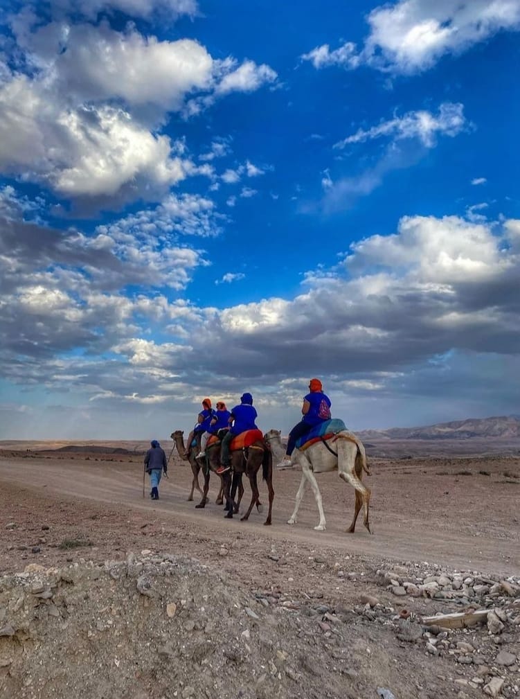 whatsapp image 2024 12 22 at 16.54.37